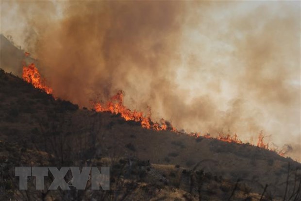 Mỹ: Cháy rừng tại bang California khiến người dân phải sơ tán